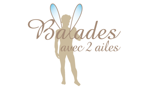 Création du logo Balades avec 2 ailes