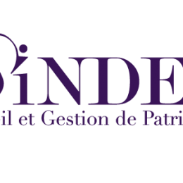 Création du logo Sindel