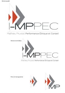 Création de logo pour Mathieu Pruvost consultant