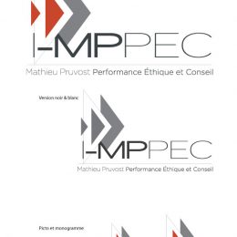 Création de logo pour Mathieu Pruvost consultant